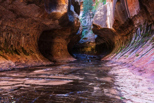 Nationaalpark Zion — Stockfoto