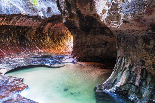 Zion National Park — Stock Photo, Image