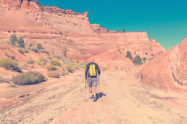 Landschap Utah en reiziger — Stockfoto