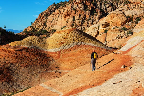 Utah paisaje y viajero — Foto de Stock