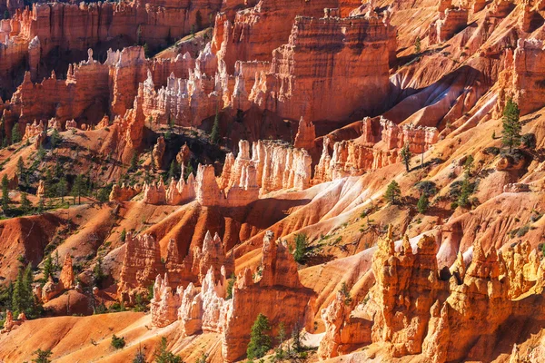 Parque Nacional Bryce Canyon, Estados Unidos —  Fotos de Stock