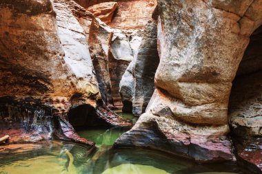 Narrows Zion National Park