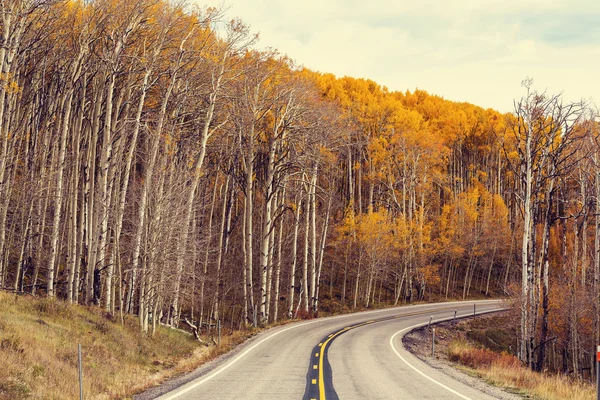 Asphalt road in Sierra Nevada — Stock Photo, Image