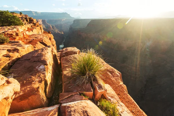 Grand canyon landschap — Stockfoto