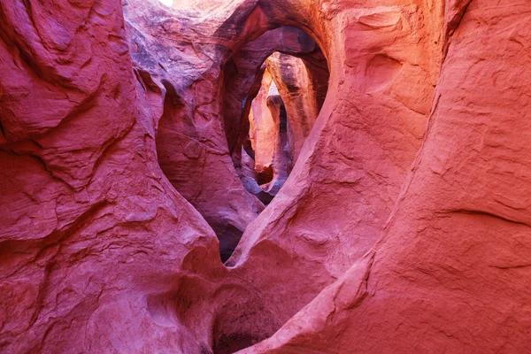 Slot canyon in National park — Stock Photo, Image