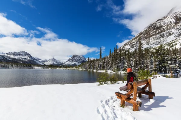 Invierno en el Parque Nacional Glaciar — Foto de Stock