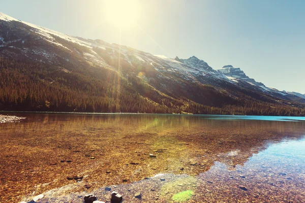 Gletscher-Nationalpark — Stockfoto