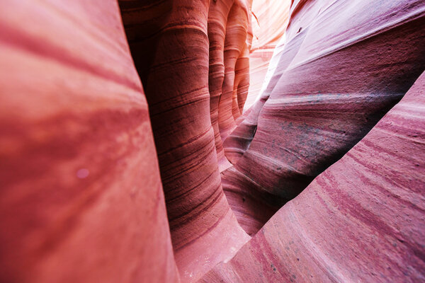 Slot canyon in Grand Staircase Escalante