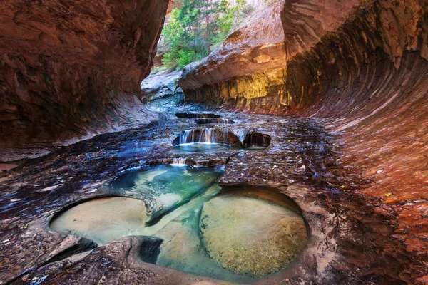 W Parku Narodowego Zion Narrows — Zdjęcie stockowe