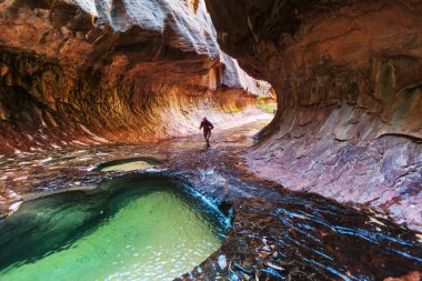 Narrows Zion National Park