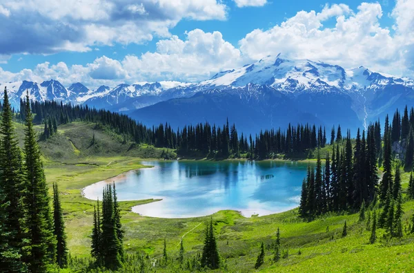 Pico Glaciar en Washington — Foto de Stock