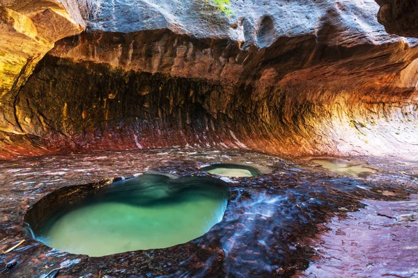 W Parku Narodowego Zion Narrows — Zdjęcie stockowe