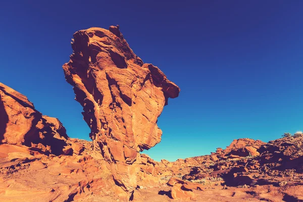 Formación de arenisca en Nevada — Foto de Stock