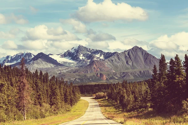 Snelweg weg in Alaska — Stockfoto