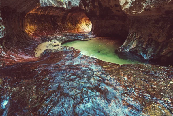 Narrows in Zion National Park — Stock Photo, Image