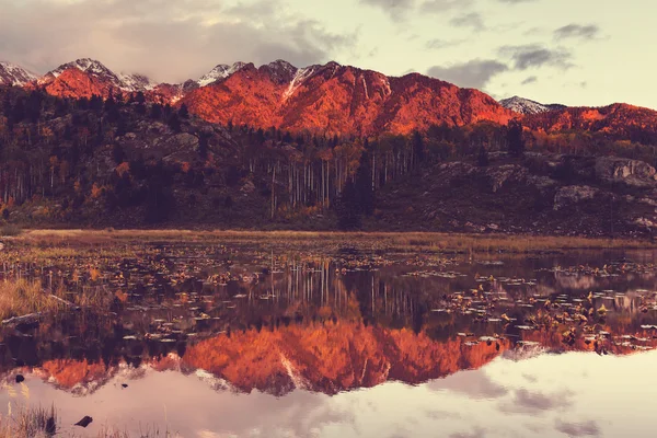 Sonbahar Colorado dağlarında — Stok fotoğraf