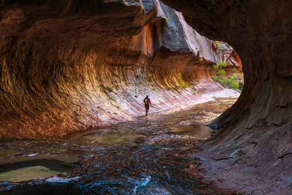 Zion Nationalpark - Stock-foto