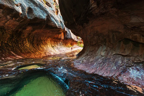 Parco nazionale di Zion — Foto Stock