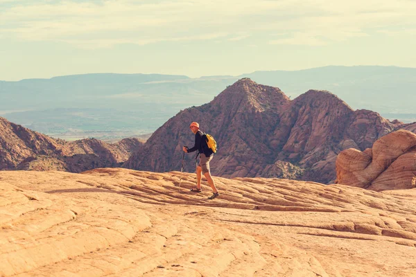 Caminhadas nas montanhas do Utah — Fotografia de Stock