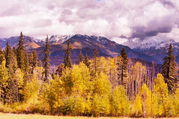 Otoño en montañas de Colorado — Foto de Stock