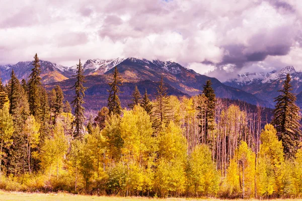 Outono nas montanhas do colorado — Fotografia de Stock