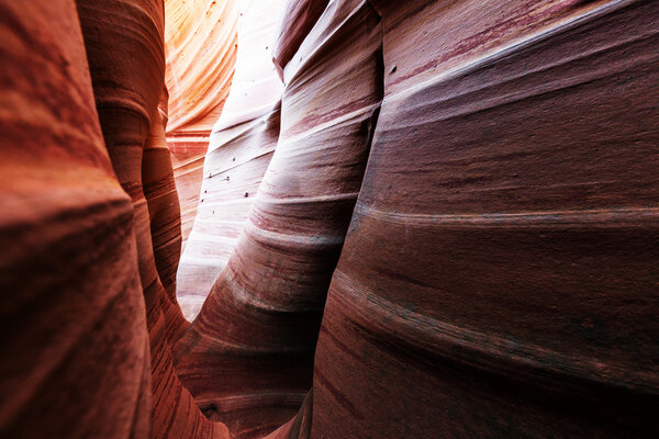 Slot canyon in Grand Staircase