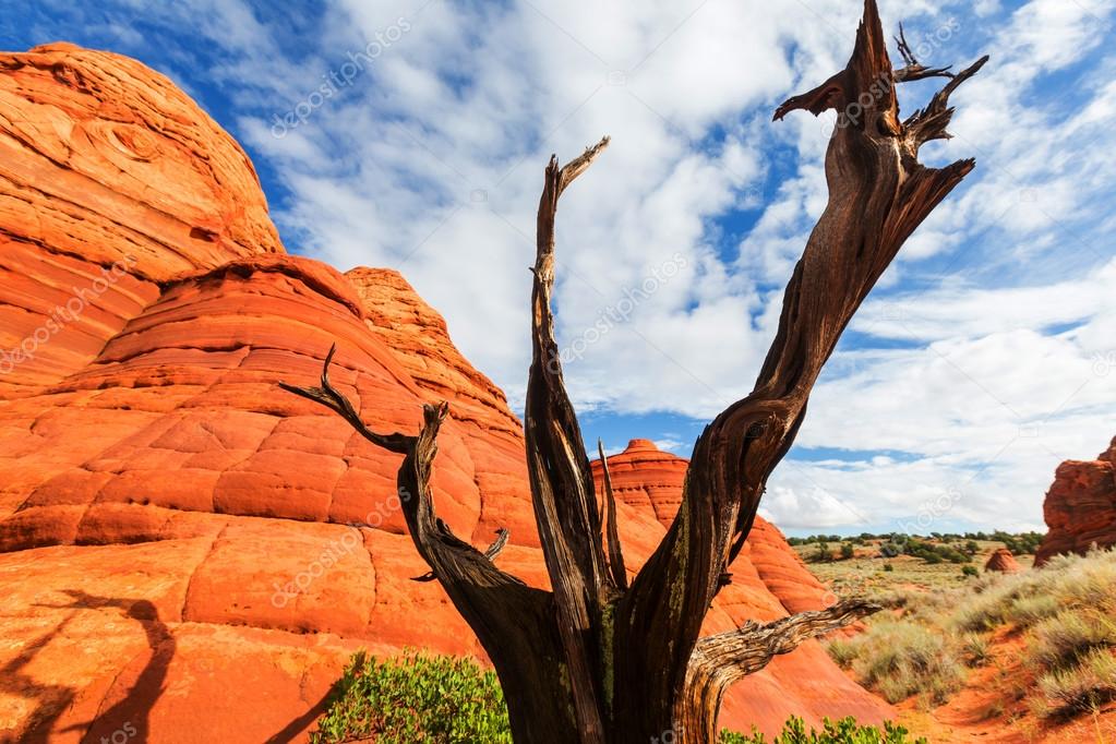 Sandstone formations in Utah