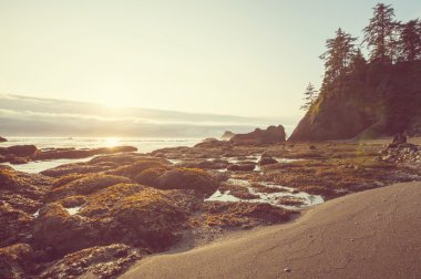 Olimpiyat Ulusal Parkı