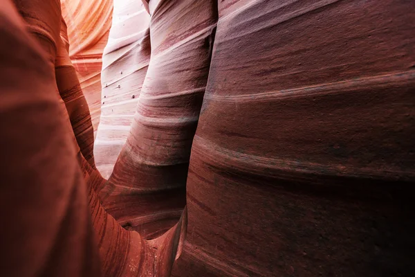 Große Treppe escalante Nationalpark — Stockfoto