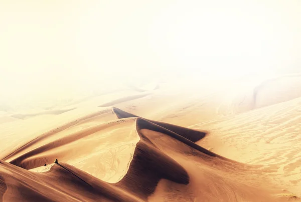 Great Sand Dunes Nationalpark — Stockfoto