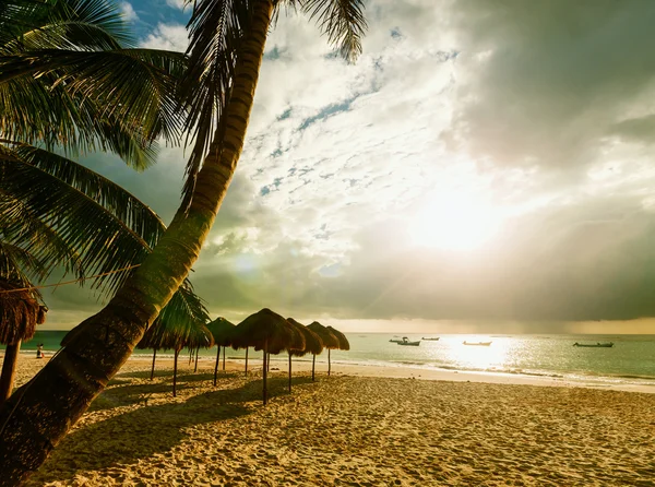 Тихий тропический пляж — стоковое фото