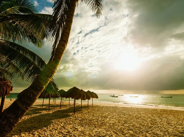 Rust tropisch strand — Stockfoto