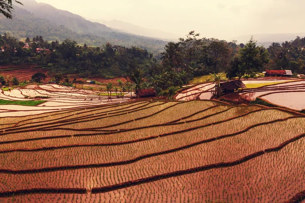 Agriculture Hausse des champs — Photo