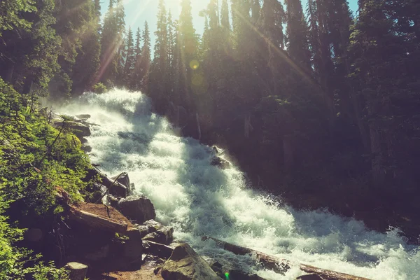 Schöner Gebirgsfluss — Stockfoto