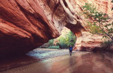 Man hiking in Coyote gulch clipart