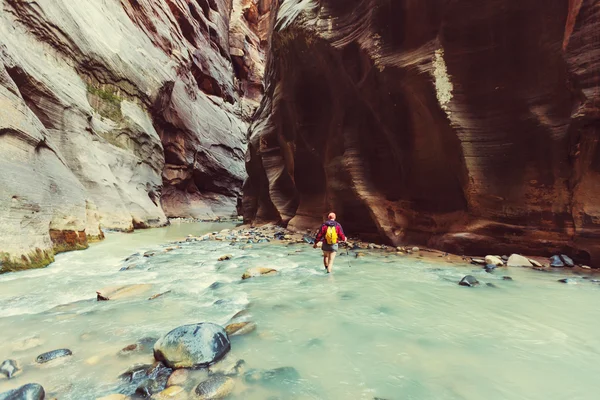 Zion Canyon adam seyahat — Stok fotoğraf
