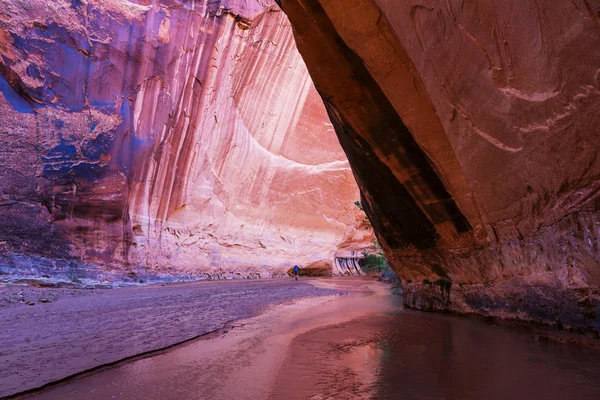 Caminhadas de homens em Coyote gulch — Fotografia de Stock