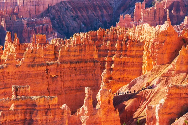 Bryce Canyon national park — Stock Photo, Image