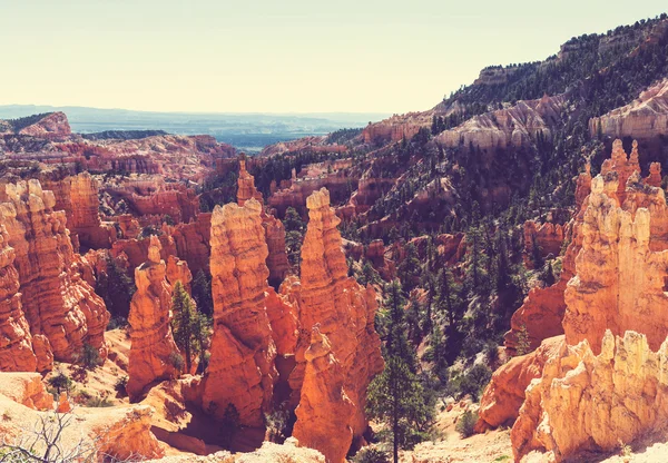 Parco nazionale del Bryce Canyon — Foto Stock