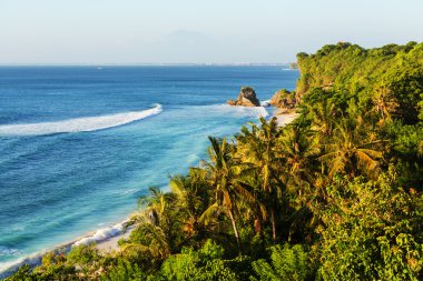 Bali tropikal plaj