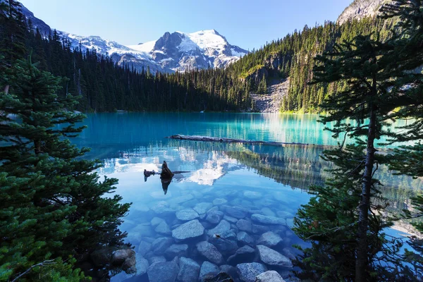 Lago Joffre no Canadá — Fotografia de Stock