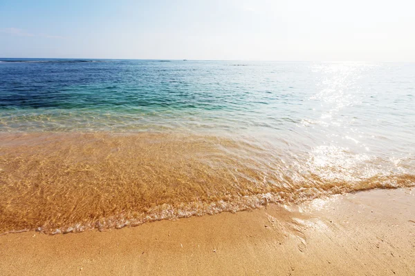 Spiaggia sabbiosa dell'oceano — Foto Stock