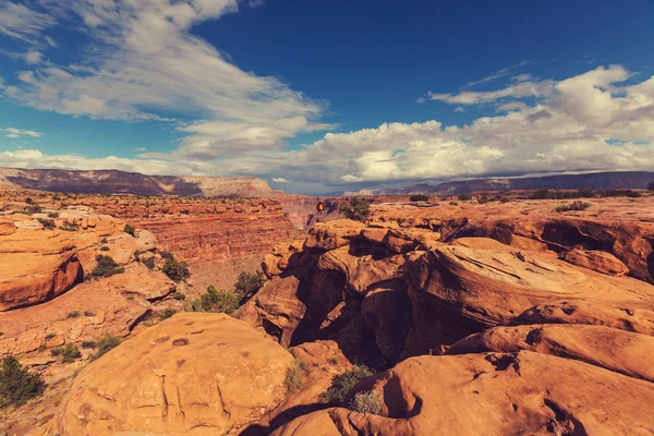 Wandelen in de Grand Canyon — Stockfoto