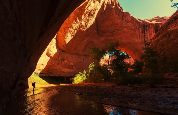 Vandra i Coyote gulch — Stockfoto