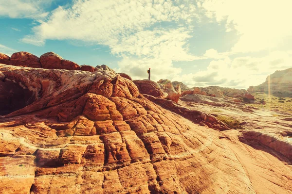 Wandelen in Utah bergen — Stockfoto