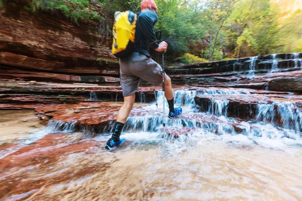 Caminata en el parque nacional de Zion — Foto de Stock