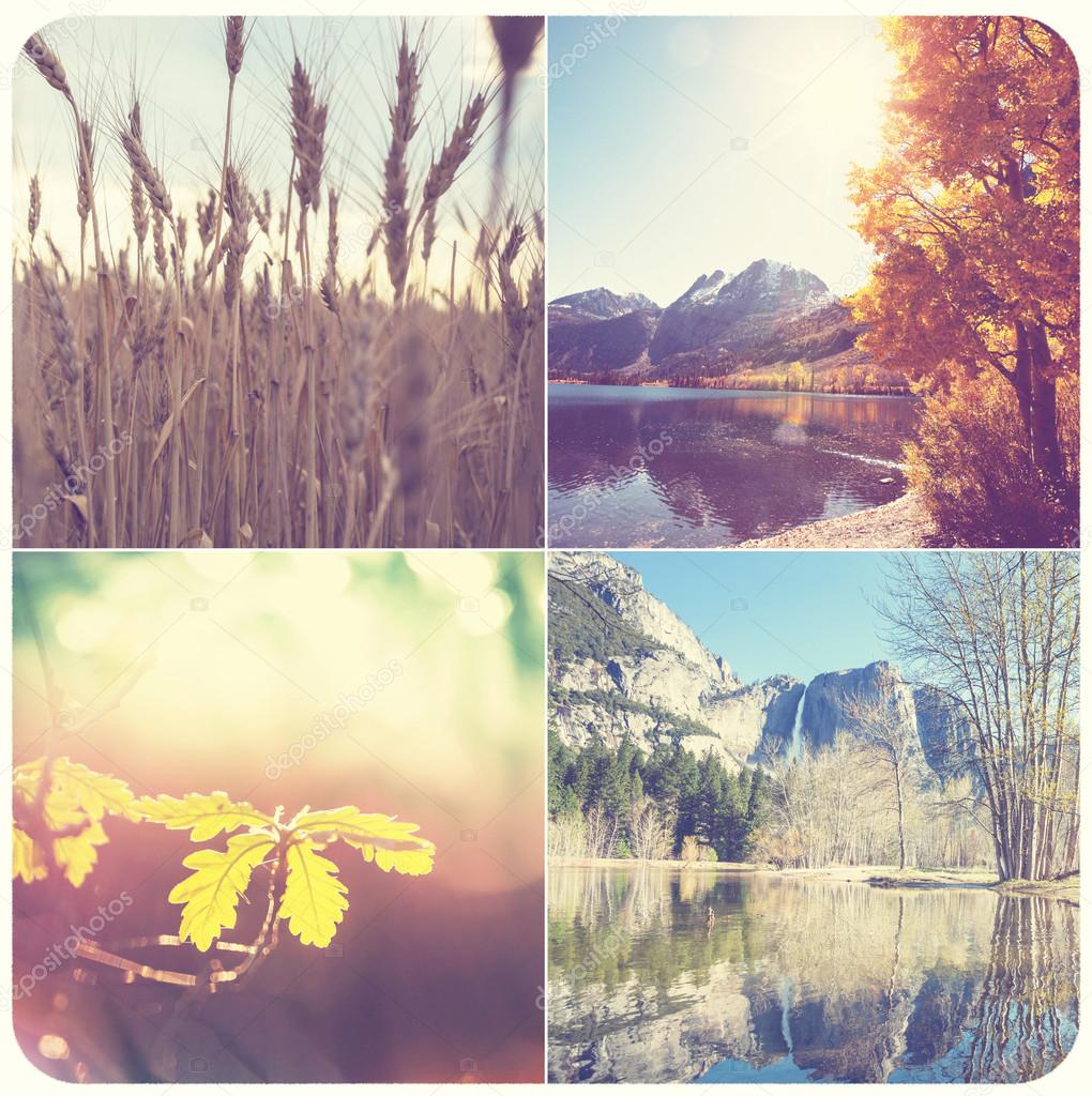 Autumn landscapes collage