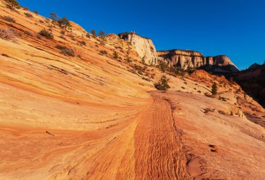 Zion national park