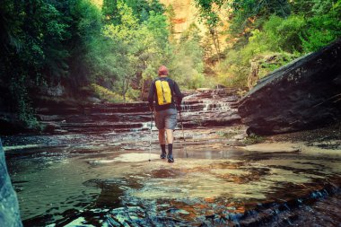 Zion national park'da yürüyüş