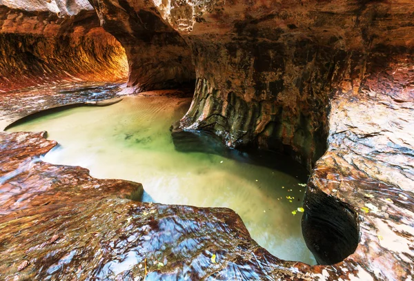 Zion Nationalpark - Stock-foto